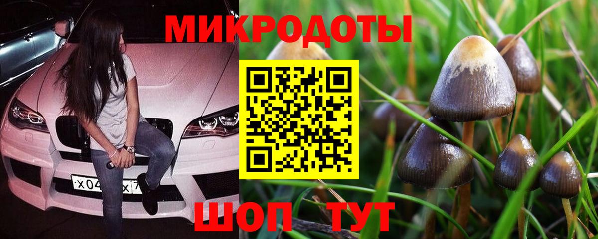 Галлюциногенные грибы Psilocybe Ишимбай
